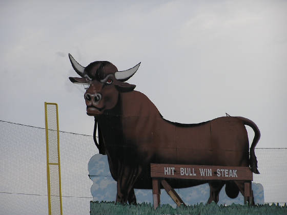 BULL